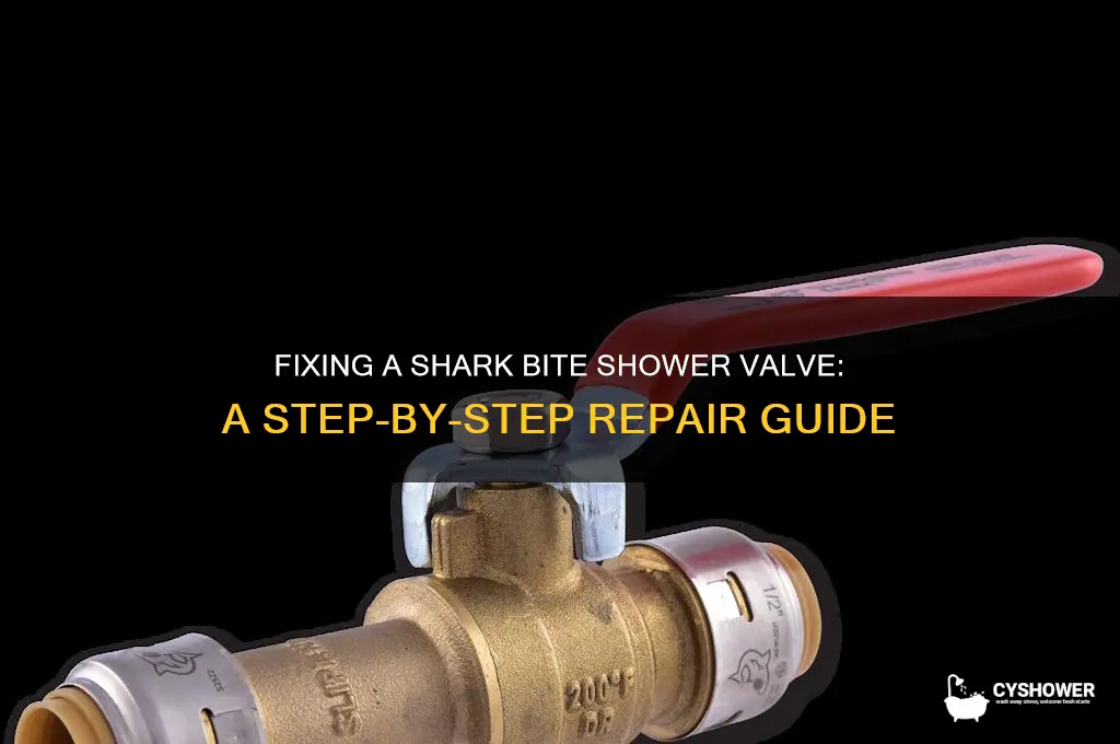 how to fix a shark bite shower valve