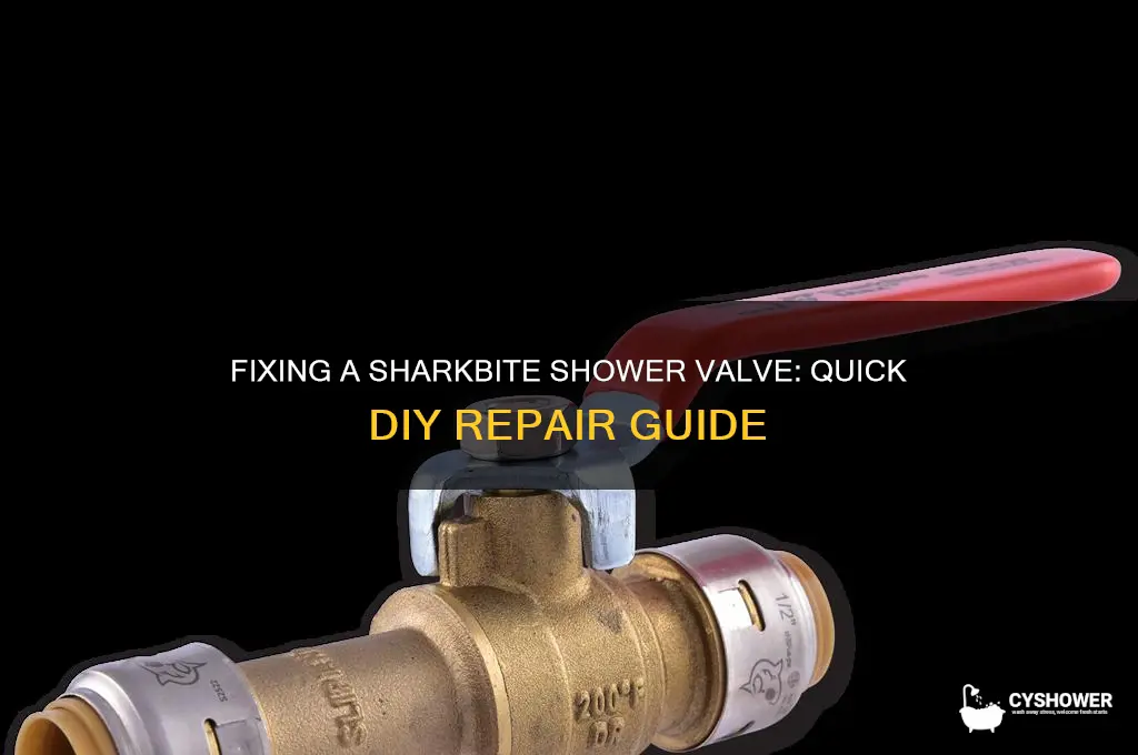 how to fix a shark bite shower valvue