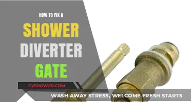 Easy DIY Guide to Repairing Your Shower Diverter Gate