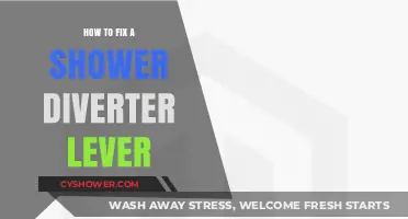 Quick Fix: Repairing Your Shower Diverter Lever in Simple Steps