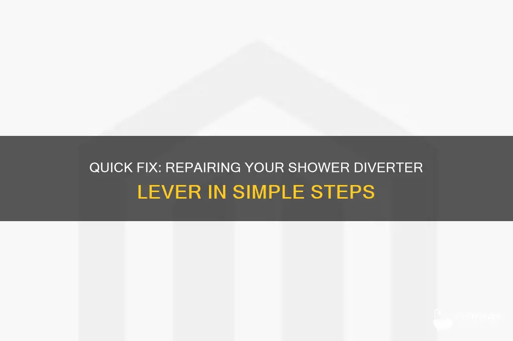 how to fix a shower diverter lever