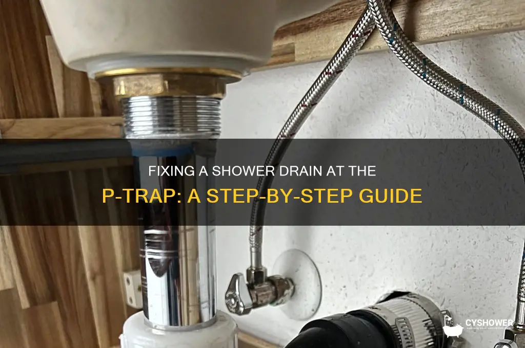 how to fix a shower drain at p trap