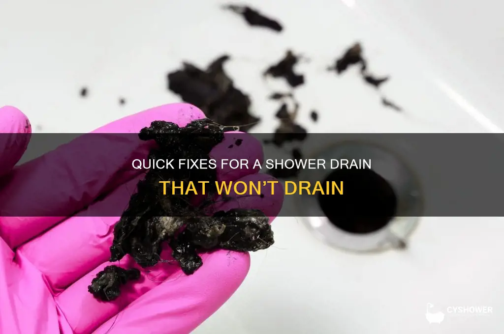 how to fix a shower drain that won t drain