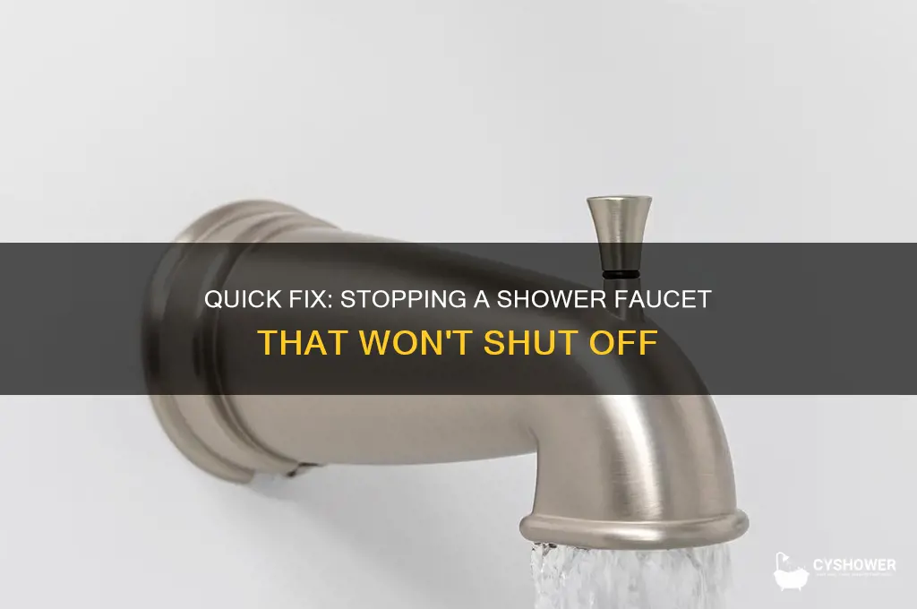 how to fix a shower faucet that won