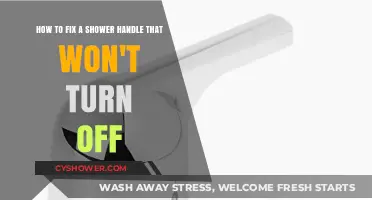 Quick Fix: Shower Handle Won't Turn Off? Here's How to Repair It