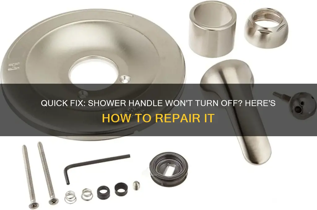 how to fix a shower handle that won