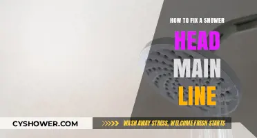 Fixing Your Shower Head Main Line: A Step-by-Step DIY Guide