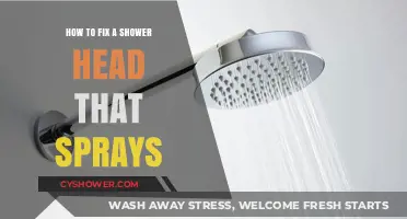 Quick Fixes for a Shower Head Spraying in All Directions