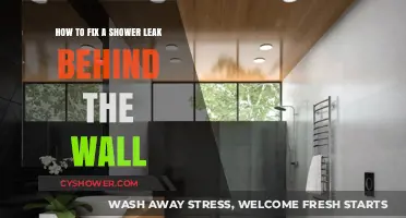 Fixing Hidden Shower Leaks: A Step-by-Step Wall Repair Guide