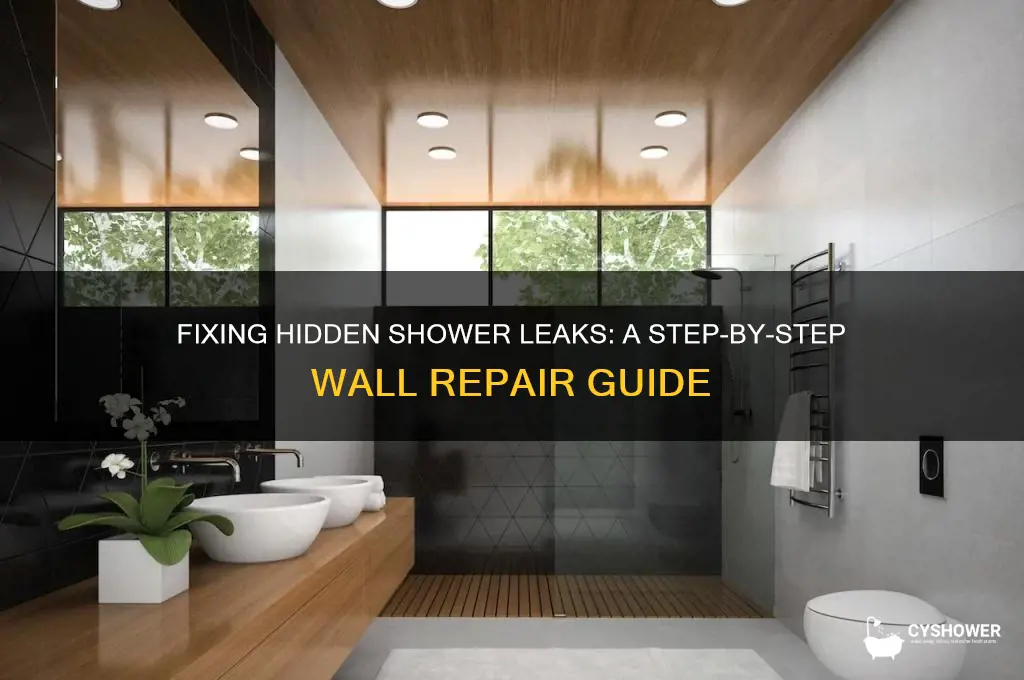 how to fix a shower leak behind the wall