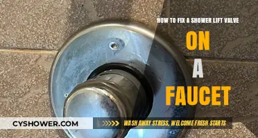 Easy DIY Guide to Repairing Your Shower Lift Valve Faucet