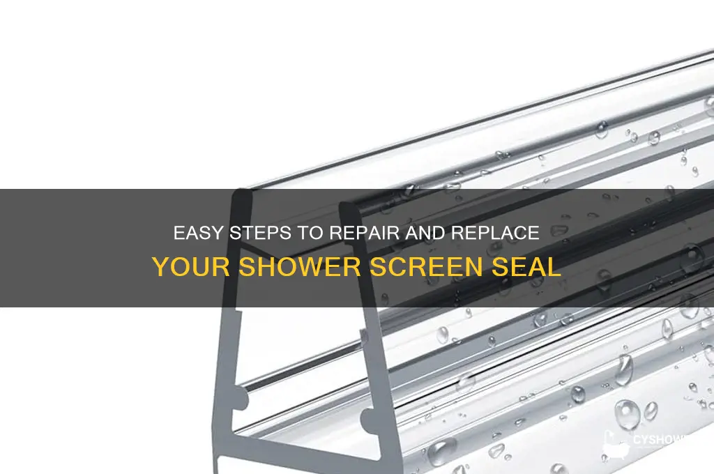 how to fix a shower screen seal
