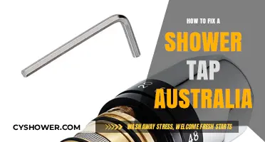 Easy DIY Guide to Repairing Your Shower Tap in Australia
