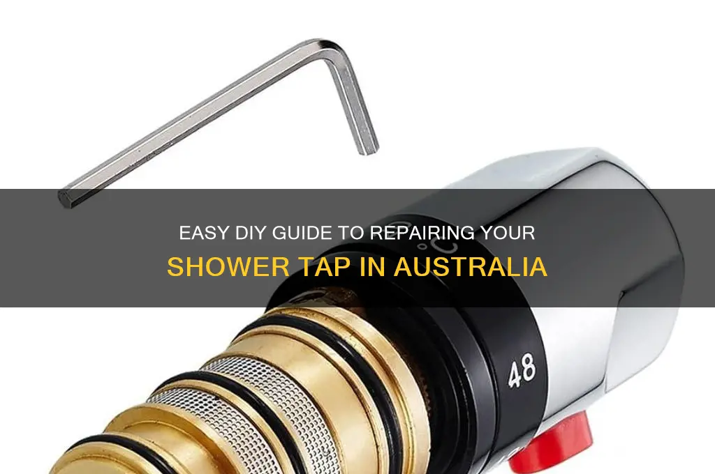 how to fix a shower tap australia