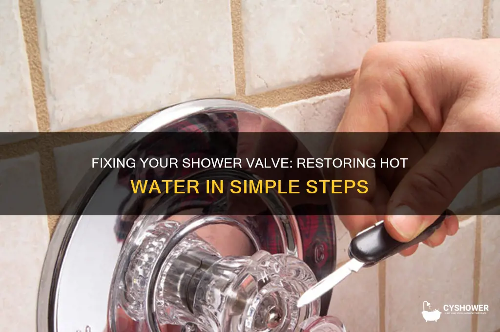 how to fix a shower valve with no hot water