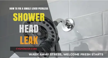 Quick Fix: Repairing a Leaky Single Lever Peerless Shower Head