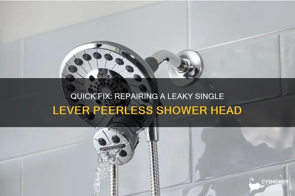 how to fix a single lever peerless shower head leak