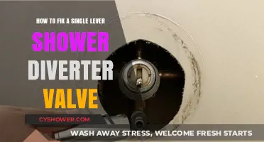 Fixing a Single Lever Shower Diverter Valve: A Step-by-Step Guide