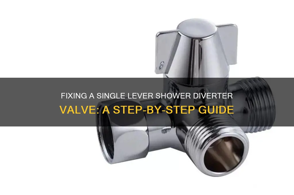 how to fix a single lever shower diverter valve