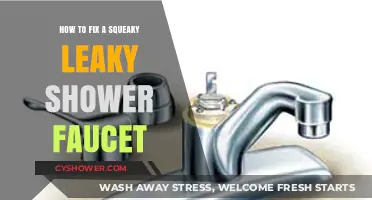 Stop the Squeak: Quick Fixes for a Leaky Shower Faucet