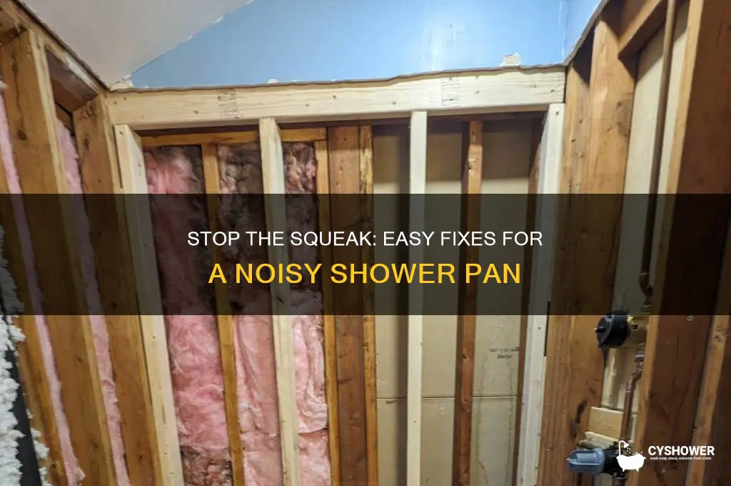 how to fix a squeaky shower pan