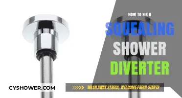 Stop the Squeal: Easy Fixes for Your Shower Diverter