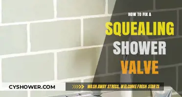 Stop the Squeal: Easy Steps to Fix Your Shower Valve