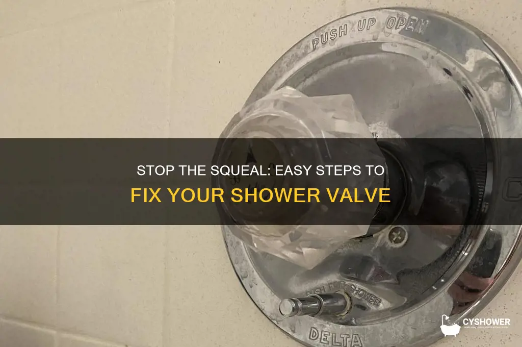 how to fix a squealing shower valve