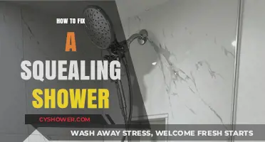 Stop the Squeal: Quick Fixes for a Noisy Shower