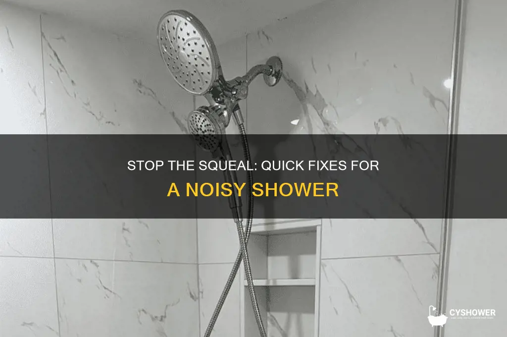 how to fix a squealing shower