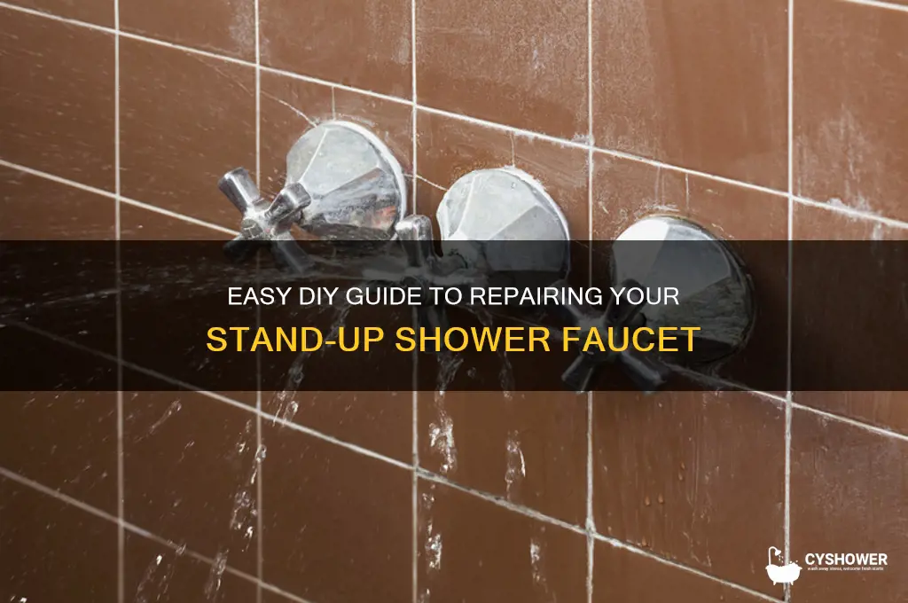 how to fix a stand up shower faucet