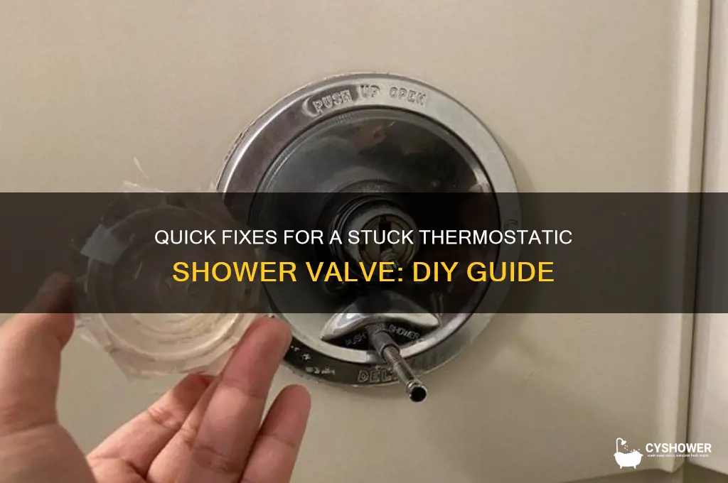 how to fix a stuck thermostatic shower valve