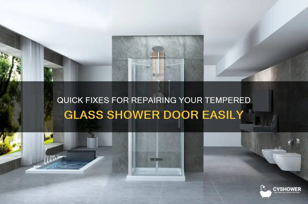 how to fix a tempglass shower door