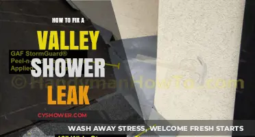 Effective Solutions to Repair and Prevent Valley Shower Leaks