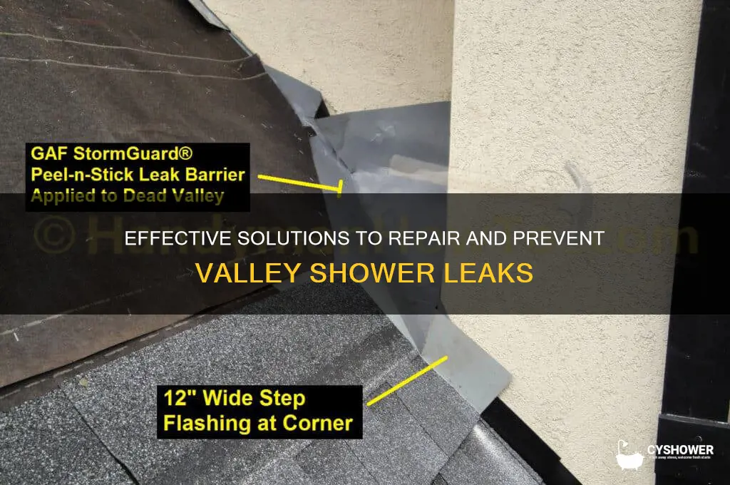how to fix a valley shower leak