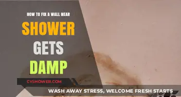 Fix Damp Walls Near Showers: Quick, Effective Solutions for Dry Homes