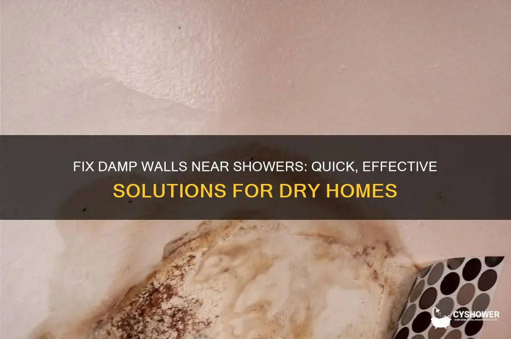 how to fix a wall near shower gets damp