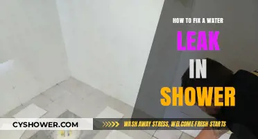 Quick DIY Guide to Fixing a Shower Water Leak Easily