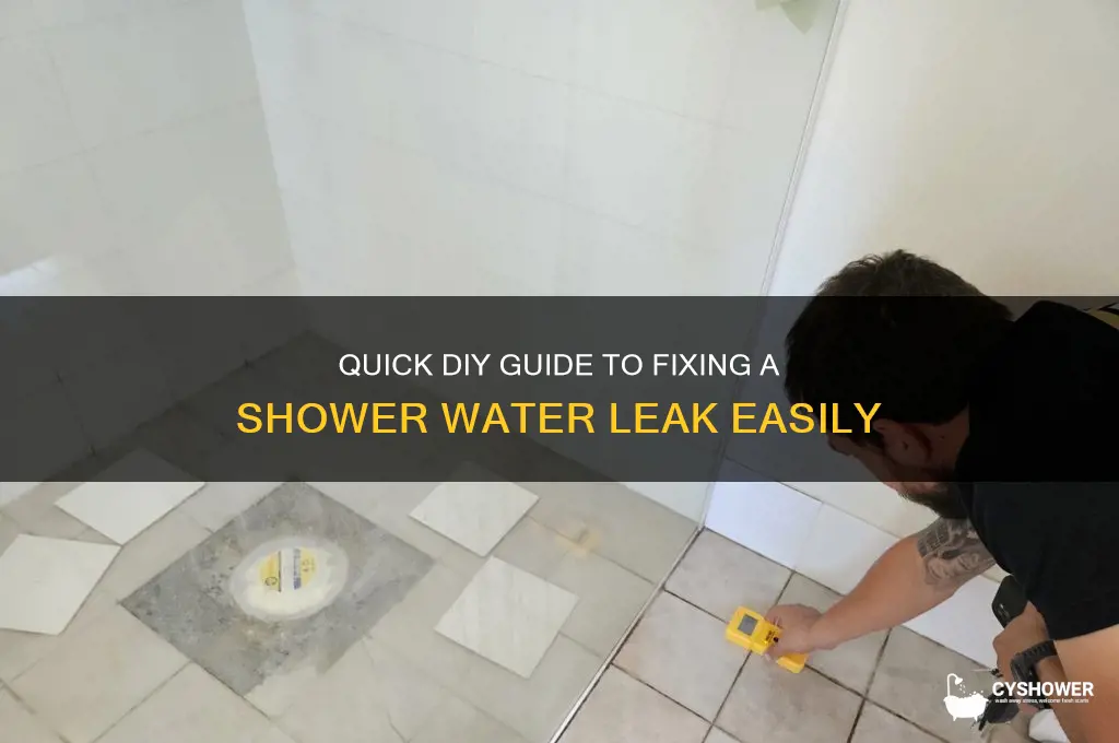 how to fix a water leak in shower