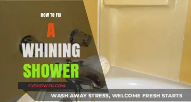 Stop the Whine: Quick Fixes for a Noisy Shower