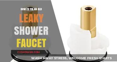 Quick DIY Guide to Repairing Your Old Leaky Shower Faucet