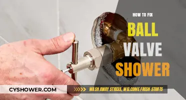 Quick Guide to Repairing a Faulty Ball Valve Shower