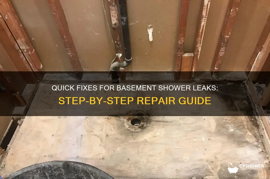 how to fix basement shower leak