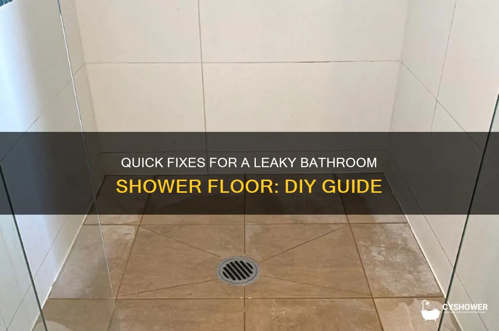 how to fix bathroom shower floor leak