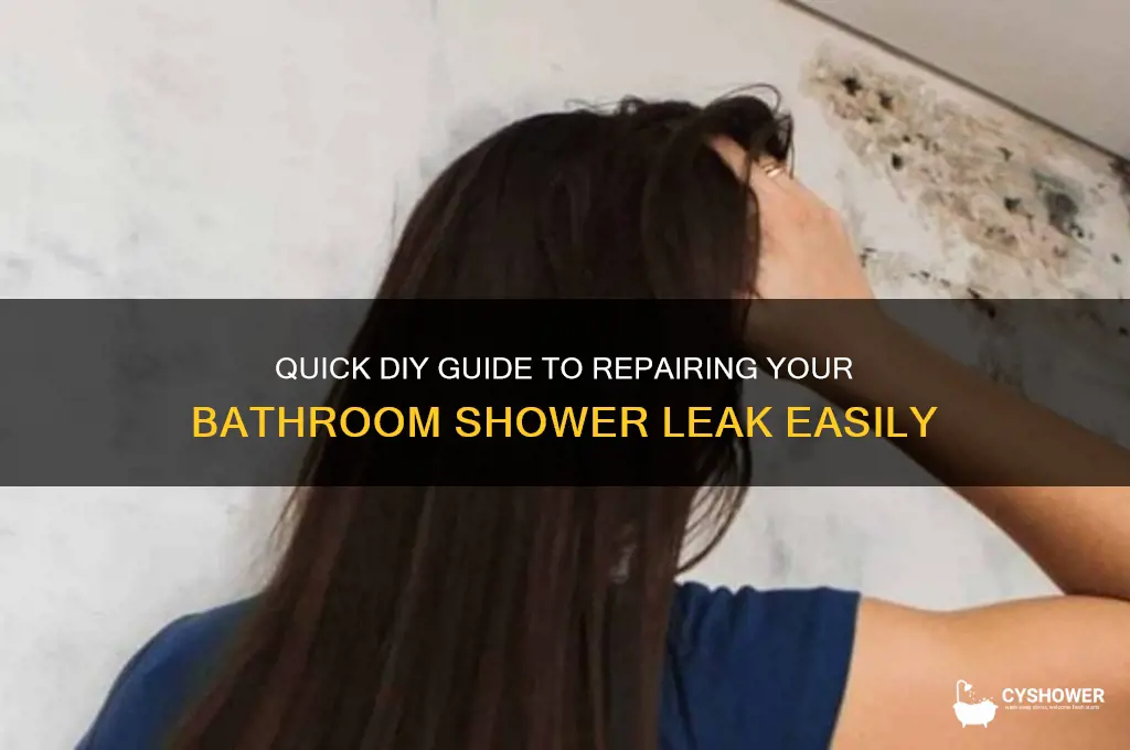 how to fix bathroom shower leak