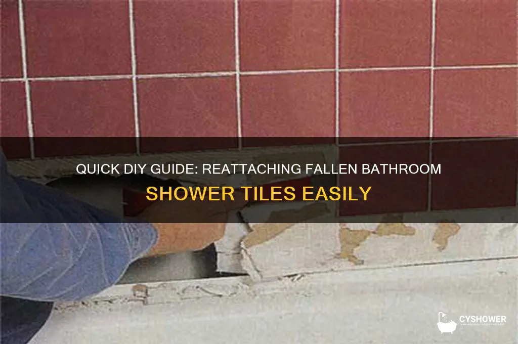 how to fix bathroom shower tiles that fell off