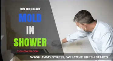 Effective Ways to Eliminate Black Mold in Your Shower