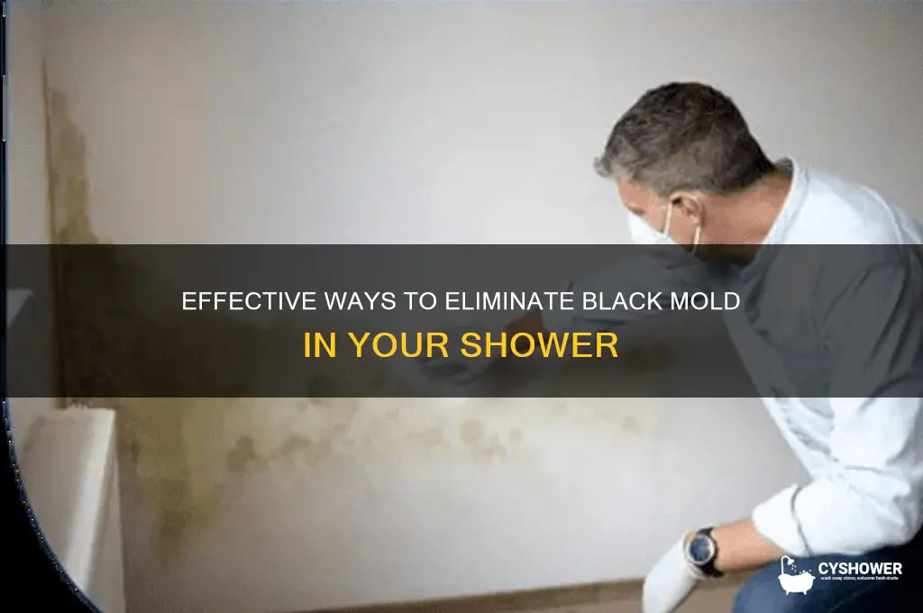 how to fix black mold in shower