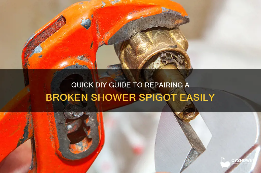 how to fix broke shower spiggot