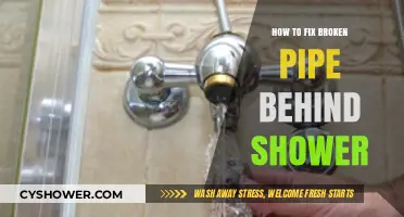 Quick Guide to Repairing a Broken Pipe Behind Your Shower